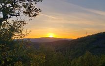 Billeder fra gæster i La Casina del Bosco