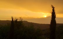 Billeder fra gæster i La Casina del Bosco