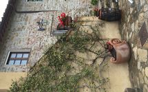 Billeder fra gæster i Villa Sonia