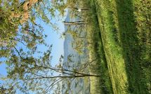 Billeder fra gæster i Il Poggiarone 6