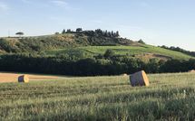 Billeder fra gæster i Cerretalta