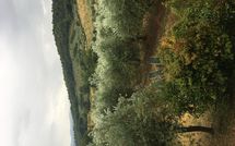 Billeder fra gæster i Montescalari