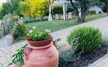 Billeder fra gæster i Gli Appartamenti di Manuela