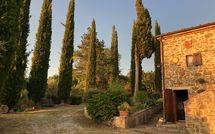 Billeder fra gæster i Country House Il Galleto