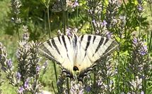 Billeder fra gæster i Molino Santa Lucia
