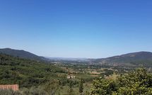 Billeder fra gæster i La Montanina