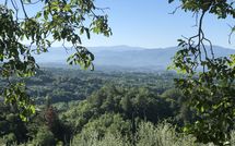 Billeder fra gæster i Villa Flora