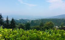 Billeder fra gæster i Villa Filippo