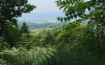 Billeder fra gæster i Villa Filippo