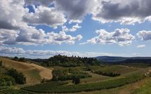 Billeder fra gæster i Certaldo