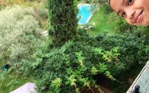 Billeder fra gæster i La Macchietta