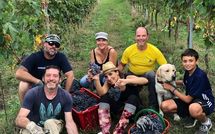 Billeder fra gæster i Panzalla