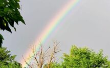 Billeder fra gæster i Pagliazzone