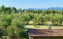 Billeder fra gæster i Galleria di Brolio