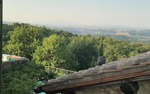 Billeder fra gæster i Podere Orietta