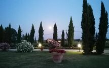 Billeder fra gæster i Podere Marcigliano