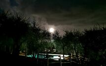 Billeder fra gæster i Villa Mastiano