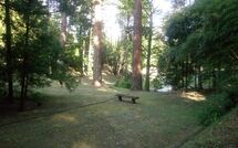 Billeder fra gæster i Villa della Nave