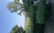 Billeder fra gæster i Magrini