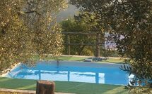 Billeder fra gæster i La Casina del Bosco