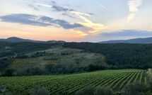 Billeder fra gæster i Contessa di Gaiole