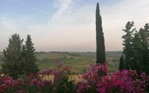 Billeder fra gæster i Montegufoni