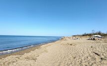 Billeder fra gæster i Scansano 100