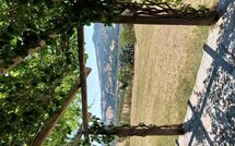 Billeder fra gæster i Scansano 100