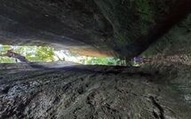 Billeder fra gæster i Scansano 100