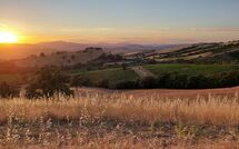 Billeder fra gæster i Scansano 100