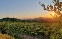 Billeder fra gæster i Villa Giotto