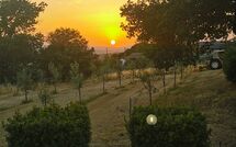 Billeder fra gæster i Fattoria le Chianacce