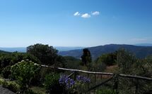 Billeder fra gæster i Casetta i Ciliegi