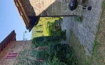 Billeder fra gæster i Il Poderino