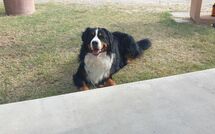 Billeder fra gæster i La Casetta nel Bosco