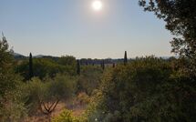 Billeder fra gæster i Campo Valerio