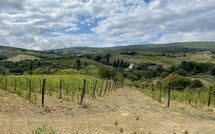 Billeder fra gæster i Vittoriana