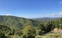 Billeder fra gæster i Villa Margherita