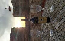 Billeder fra gæster i Certaldo