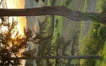 Billeder fra gæster i Radda in Chianti 850