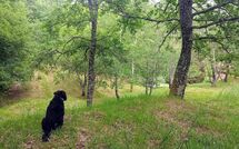 Billeder fra gæster i Vignoli