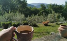 Billeder fra gæster i Vignoli