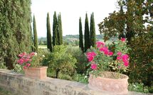 Billeder fra gæster i Tenuta Il Tresto