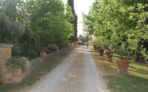 Billeder fra gæster i Tenuta Il Tresto