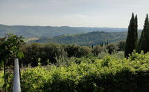 Billeder fra gæster i Pozza di Volpaia