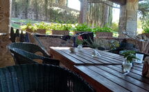 Billeder fra gæster i Pozza di Volpaia