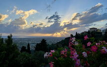 Billeder fra gæster i Il Frantoio