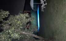 Billeder fra gæster i La Capannella