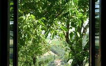 Billeder fra gæster i Val di Gallo 4