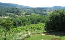 Billeder fra gæster i San Pierino